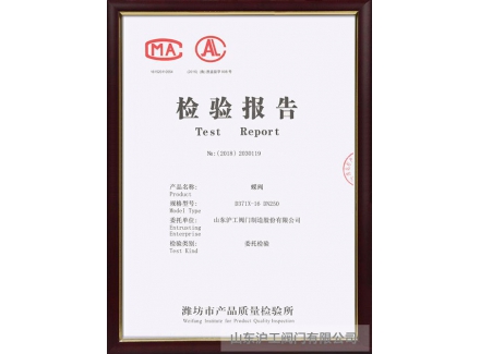 蝶閥檢驗(yàn)報告